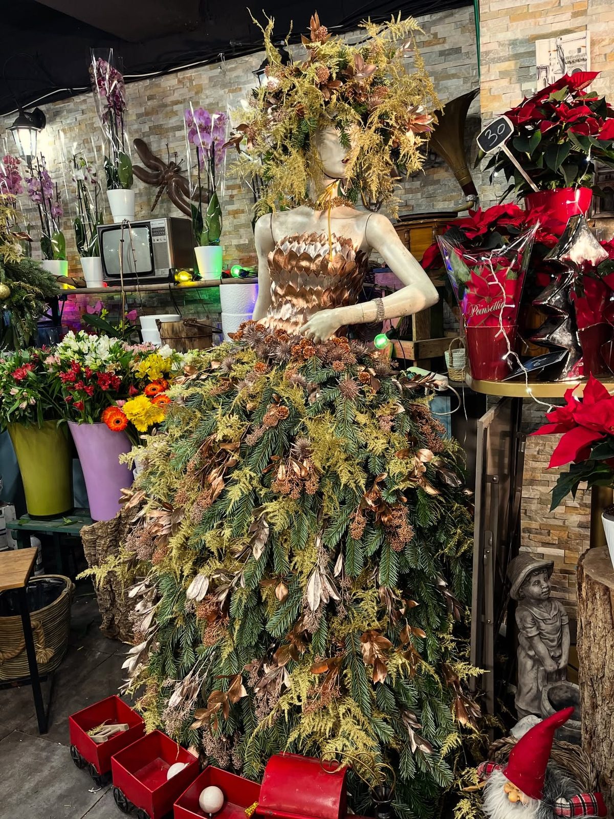 Robe florale de Noël dans la boutique, entre les orchidées et les poinsettias